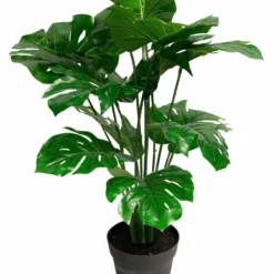 NORDIC DECO Monsteraplante I Potte