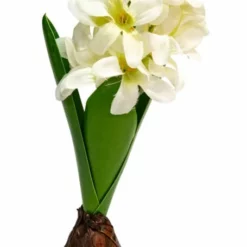 NORDIC DECO Svibel I Potte