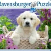 Ravensburger Puzzle Sweet Golden Retriever Puslepill