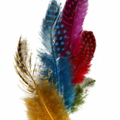 ANDRE MERKEVARER Perlehønsfjær