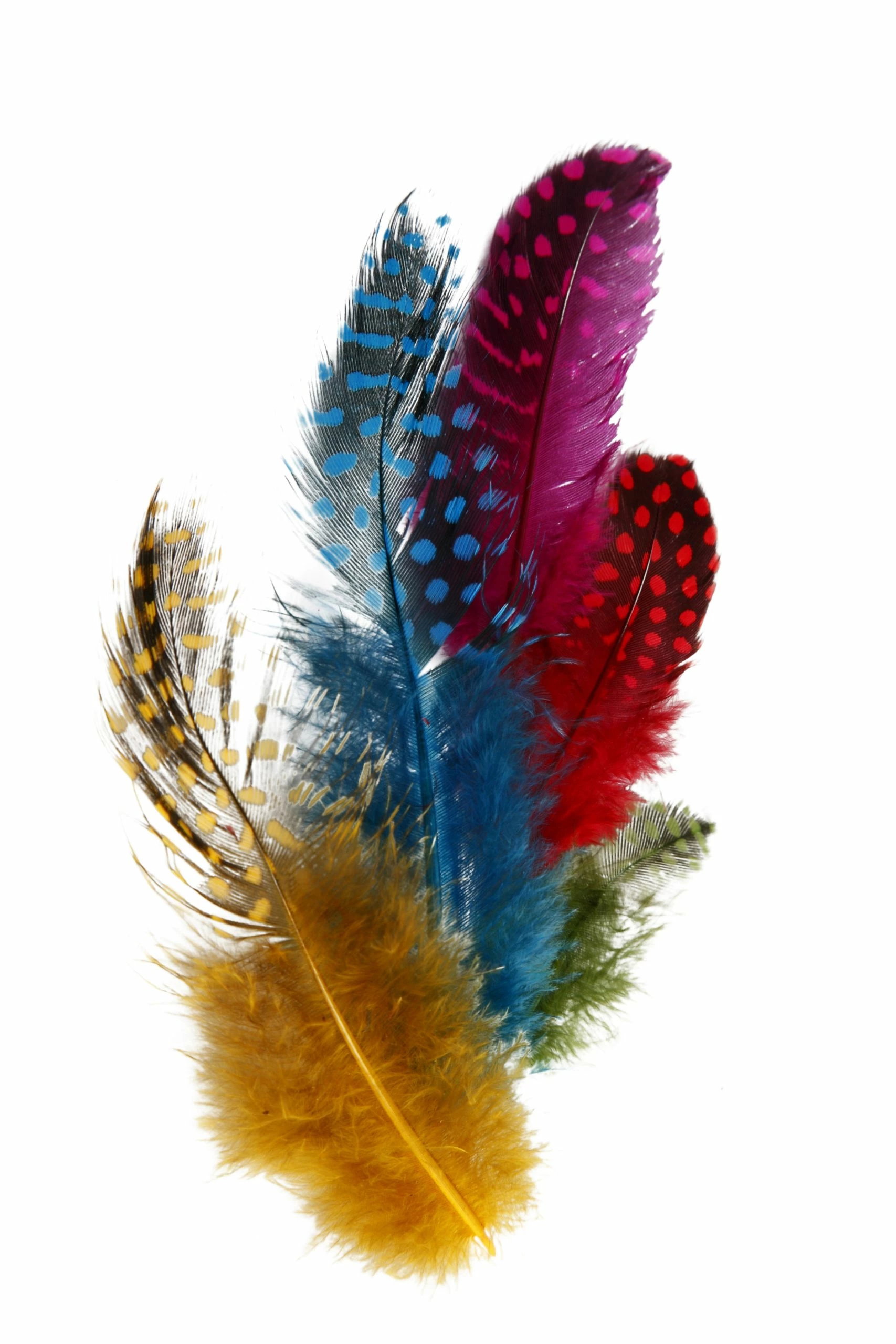 ANDRE MERKEVARER Perlehønsfjær 3 ANDRE MERKEVARER Perlehønsfjær