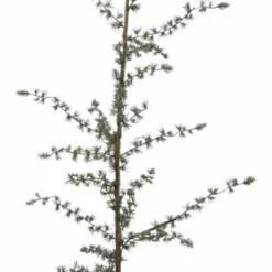 NORDIC DECO Sejla Sedertre