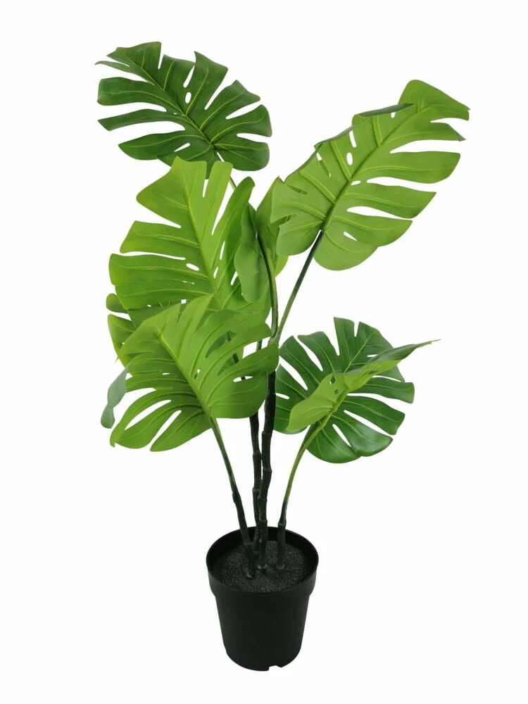 NORD Monstera Plante 3 NORD Monstera Plante