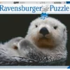 Ravensburger Puzzle Cute Little Otter Puslespill -Kjøkkenutstyr Outlet 681371 4005556169801 1