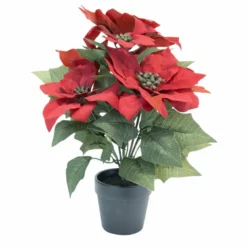 NORDIC DECO Julestjerne I Potte