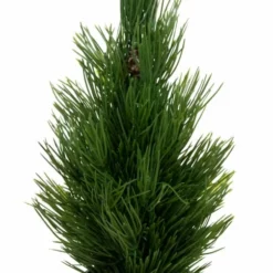 NORD Miri Minitre I Potte