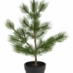 NORD Gregg Tre I Potte