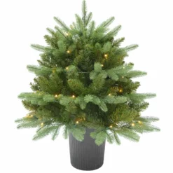 GREEN WORLD Juletre Busk