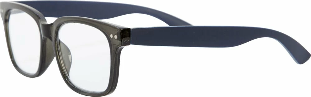 Optik Lesebriller 4pk 6 Optik Lesebriller 4pk - Bilde 4