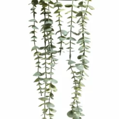 NORD Eucalyptus Hengeplante